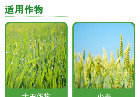 寰敓鐗╄弻鍓?鑰曚箰澹?鑰曡樹箰_05.jpg 寰敓鐗╄弻鍓?鑰曚箰澹?鑰曡樹箰_05.jpg