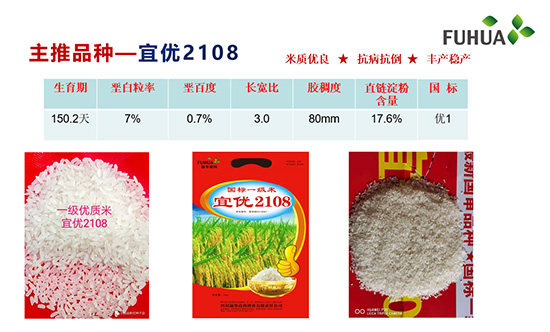 宜優(yōu)2108-水稻種子-福華高科 宜優(yōu)2108-水稻種子-福華高科