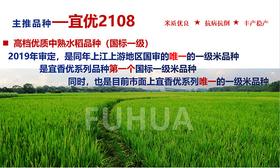 宜優(yōu)2108-水稻種子-福華高科 宜優(yōu)2108-水稻種子-福華高科