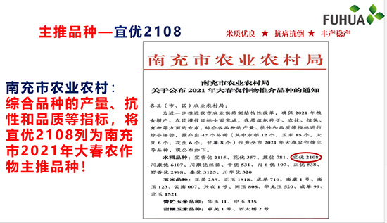 宜優(yōu)2108-水稻種子-福華高科 宜優(yōu)2108-水稻種子-福華高科