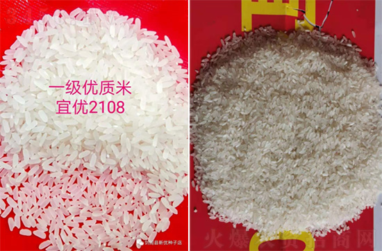 宜優(yōu)2108-水稻種子-福華高科 宜優(yōu)2108-水稻種子-福華高科