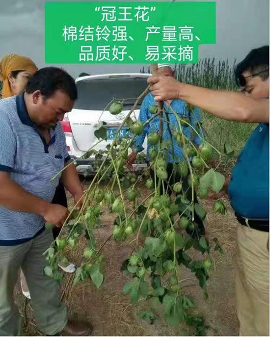 �����66̖(h��o)�޻��N��-��ͨ����-���SԪ