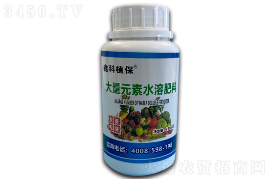 石榴什么時候開花 石榴什么時候成熟 石榴什么時候開花 石榴什么時候成熟