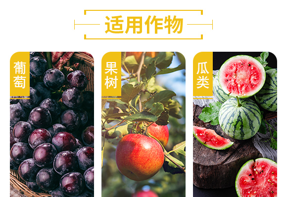 鐭挎簮榛勮厫閰擱捑-娌冪洓鑹搧_05.jpg 鐭挎簮榛勮厫閰擱捑-娌冪洓鑹搧_05.jpg