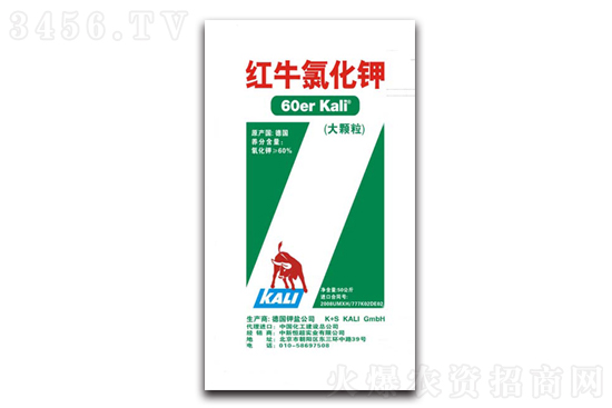 2021-1-13����⛷ʃr(ji��)�������߄ݷ���