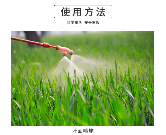 瀵岀铔嬬櫧緋栬湝鍔熻兘鑲?鏂藉ソ鏉?搴蜂赴鍖栬偉_06.jpg 瀵岀铔嬬櫧緋栬湝鍔熻兘鑲?鏂藉ソ鏉?搴蜂赴鍖栬偉_06.jpg