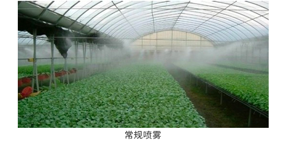 瀵岀铔嬬櫧緋栬湝鍔熻兘鑲?鏂藉ソ鏉?搴蜂赴鍖栬偉_07.jpg 瀵岀铔嬬櫧緋栬湝鍔熻兘鑲?鏂藉ソ鏉?搴蜂赴鍖栬偉_07.jpg