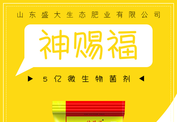 5亿微生物菌剂-���赐��?盛大生态_01.jpg
