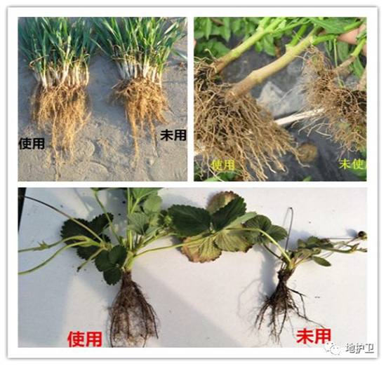 ��(f��)��΢�������-���o(h��)�l(w��i)-����