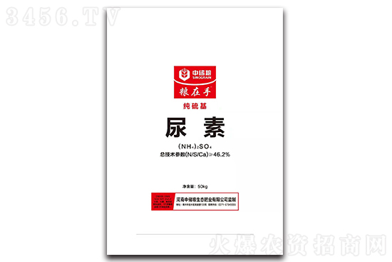 ���؃r���(w��n)С�q��2021-2-24�������؃r�������r