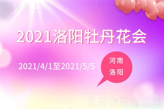 �������ĵ����չ�r�g�ǎ����� ���ĵ��������B