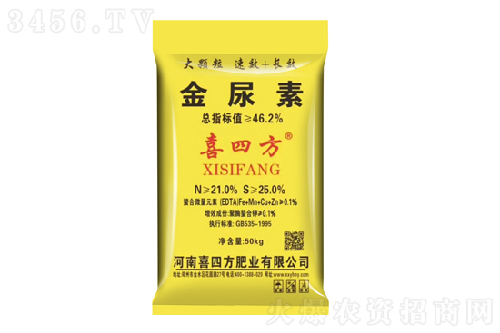 ���؃r�񕺷�(w��n)��2021-2-25�������؃r���r