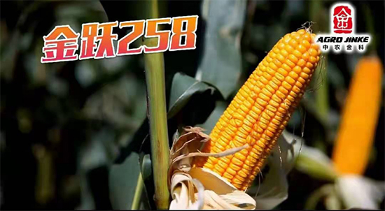 ���S258-���׷N��-���r(n��ng)���