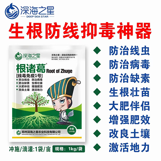 ��������һ̖(h��o)-���T��-�֮��