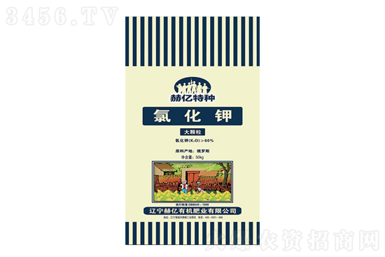 ⛷�С�q��2021-3-13����ĩ⛷ʃr(ji��)�������(b��o)�r(ji��)