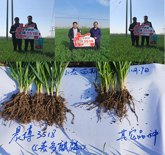 2017-07-06-15-19-522.jpg 2017-07-06-15-19-522.jpg