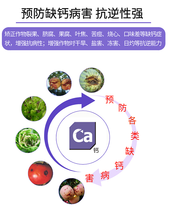 7658d043f781b40143308a470be5977_06.jpg 7658d043f781b40143308a470be5977_06.jpg