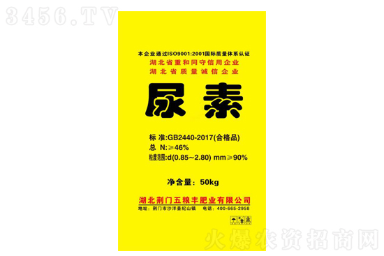 �����^����w�����2021-6-16�������؃r�������r