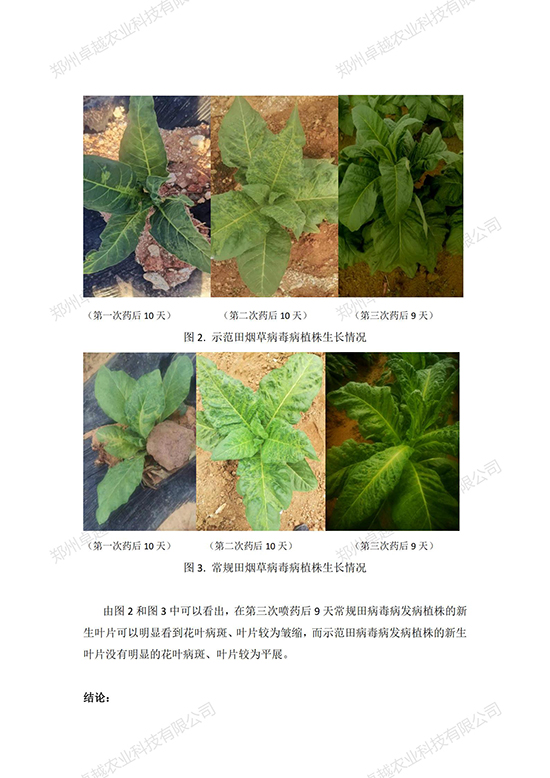 免疫隱地蛋白-農(nóng)業(yè) 免疫隱地蛋白-農(nóng)業(yè)