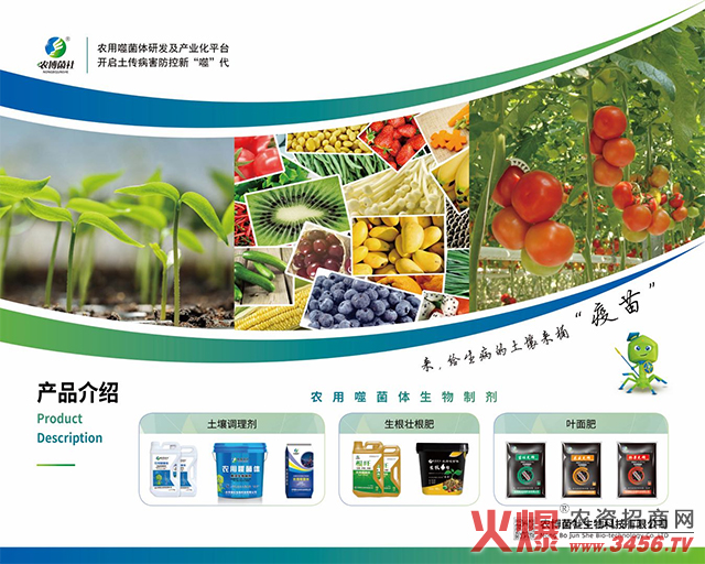 �r����������Ƽ����޹�˾