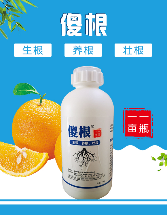 瀵垮厜甯傜敓鎬佽偉鏂欑鎶涓績-鐢熸牴鍓?鍌繪牴_01.jpg 瀵垮厜甯傜敓鎬佽偉鏂欑鎶涓績-鐢熸牴鍓?鍌繪牴_01.jpg