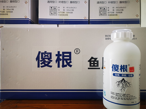 鏈爣棰?2.jpg 鏈爣棰?2.jpg