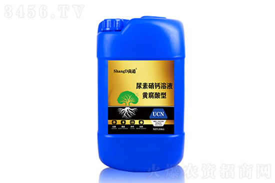 2021-10-13�������؃r�������rһ�[ 