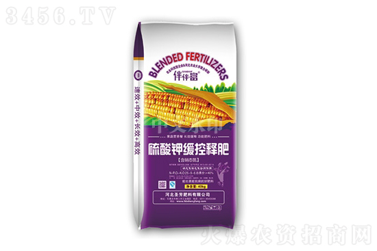 �����С��������2021-11-4��������⛃r(ji��)������