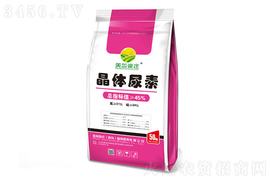 2022-1-25���؃r���r