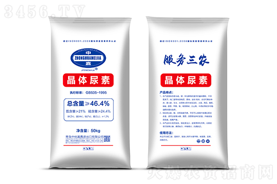 ���؃r������Xһ����2022-2-19�������؃r�������r