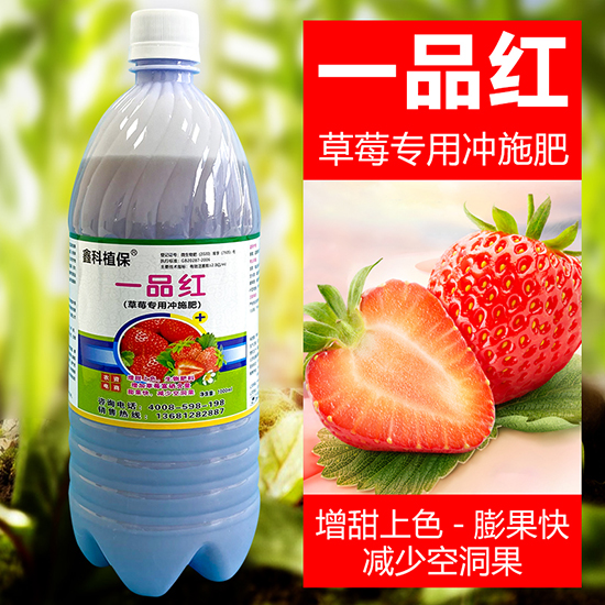 草莓专用冲施�?一品红-鑫科植保.jpg
