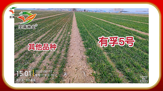 騫葷伅鐗?1.jpg 騫葷伅鐗?1.jpg