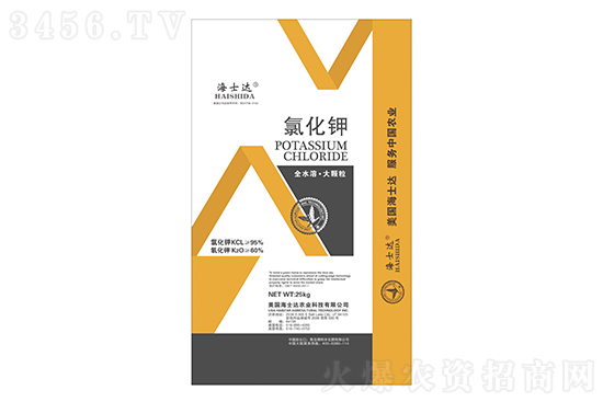 ⛷ʃr�������߄�2022-4-13