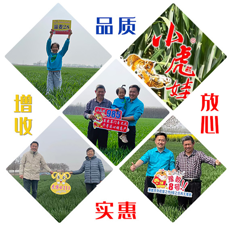 娌沖崡鏅ㄥ崥縐嶄笟鏈夐檺鍏徃_02.jpg 娌沖崡鏅ㄥ崥縐嶄笟鏈夐檺鍏徃_02.jpg