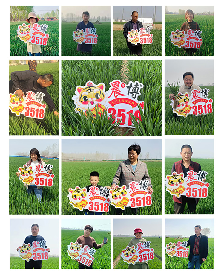 娌沖崡鏅ㄥ崥縐嶄笟鏈夐檺鍏徃_03.jpg 娌沖崡鏅ㄥ崥縐嶄笟鏈夐檺鍏徃_03.jpg