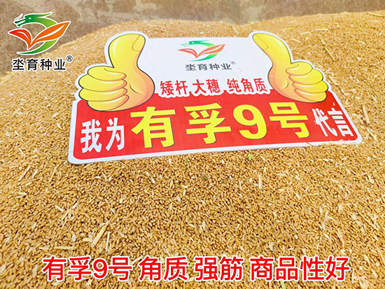 寰俊鍥劇墖_20220625103642.jpg 寰俊鍥劇墖_20220625103642.jpg