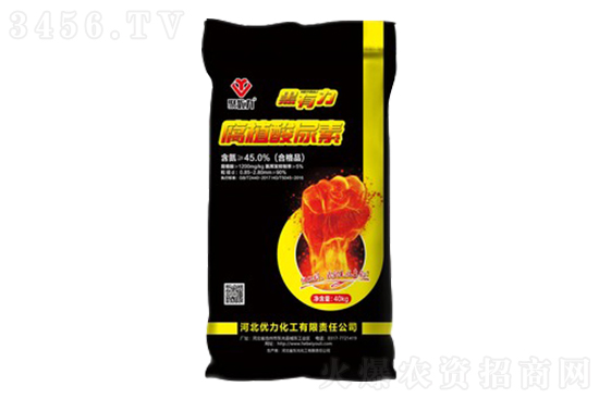 2022-9-13�������؃r(ji��)�������(b��o)�r(ji��)