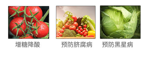 涔愰櫟甯傚啘鍗氬+澶嶆販鑲ユ湁闄愬叕鍙竉04.jpg 涔愰櫟甯傚啘鍗氬+澶嶆販鑲ユ湁闄愬叕鍙竉04.jpg