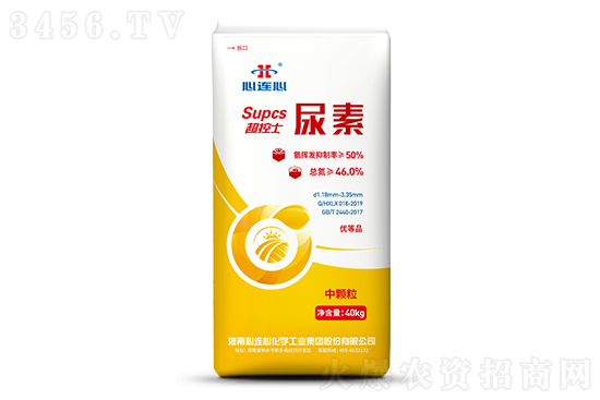 �����������w�Է�(w��n)������2022-12-24�������؃r(ji��)�������(b��o)�r(ji��)