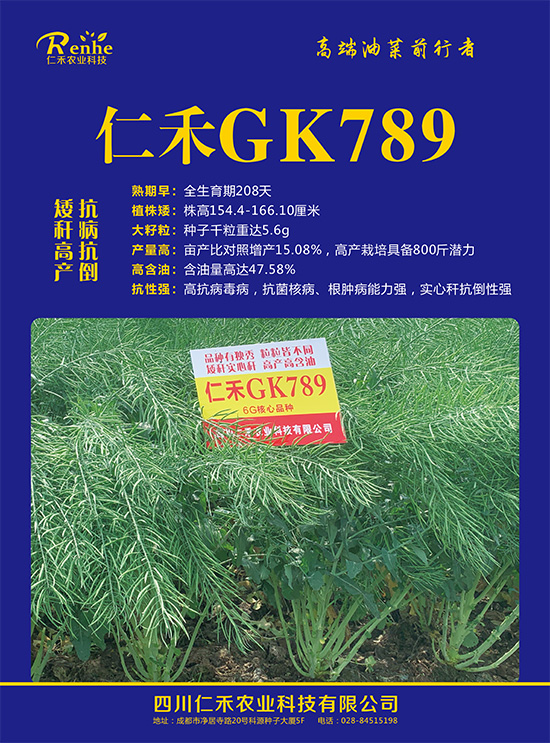 油菜�U�子-仁禾GK789-仁禾农业2.jpg