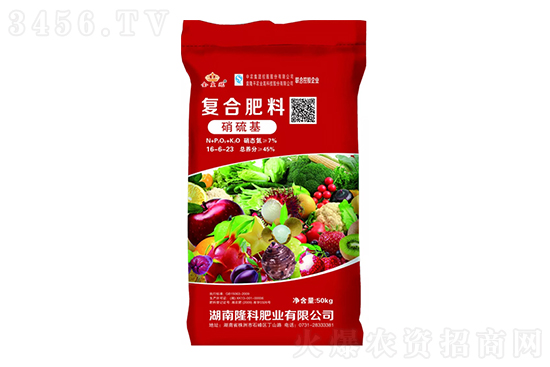 2023��2��3�Տ�(f��)�Ϸʃr�������߄ݷ���