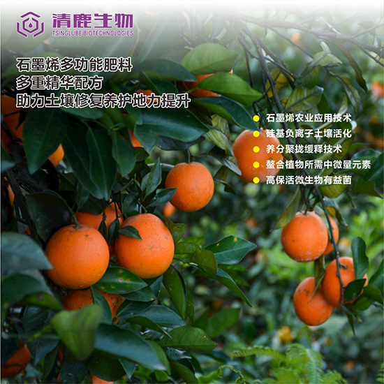 2-鍘繪晱鎰熻瘝鍏ㄧ悆棣栧垱瀛楁牱.jpg 2-鍘繪晱鎰熻瘝鍏ㄧ悆棣栧垱瀛楁牱.jpg