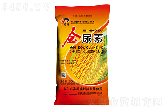 2023-2-24�������؃r�������rһ�[