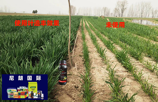 2d9a5181841e568eb8384cc28d09b5fe_.jpg 2d9a5181841e568eb8384cc28d09b5fe_.jpg