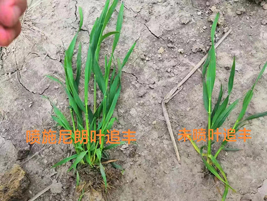 50e12082c608e4e6613300b9285fff22_.jpg 50e12082c608e4e6613300b9285fff22_.jpg