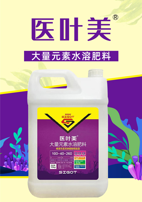 鍖誨彾緹?璧涘浐鐗筥01.jpg 鍖誨彾緹?璧涘浐鐗筥01.jpg