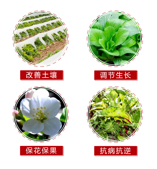 閼赴涓?涓摑鍐滀笟_05.jpg 閼赴涓?涓摑鍐滀笟_05.jpg