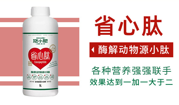 酶解动物源小�?施小肥_03.jpg