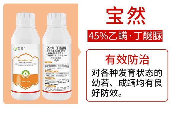 乙螨·丁醚�?宝然_02.jpg