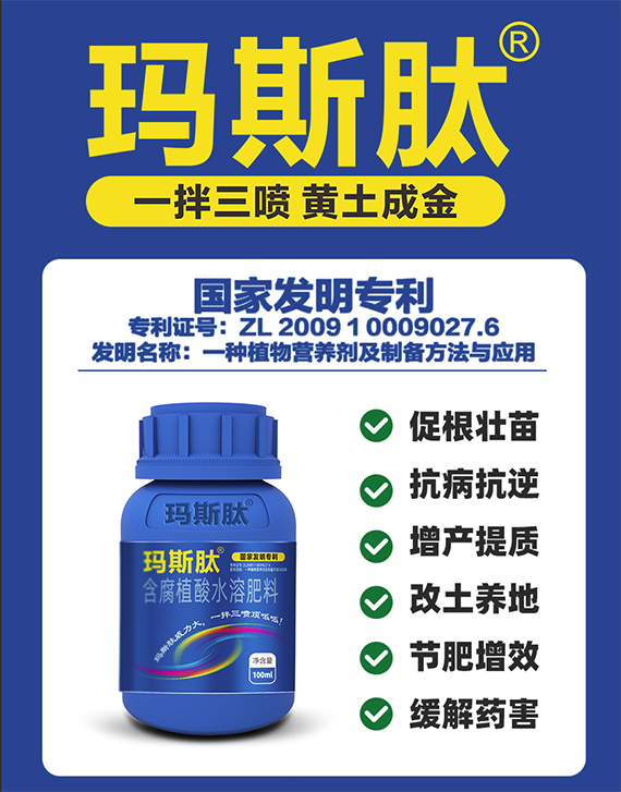 QQ鍥劇墖20241111095039.png QQ鍥劇墖20241111095039.png